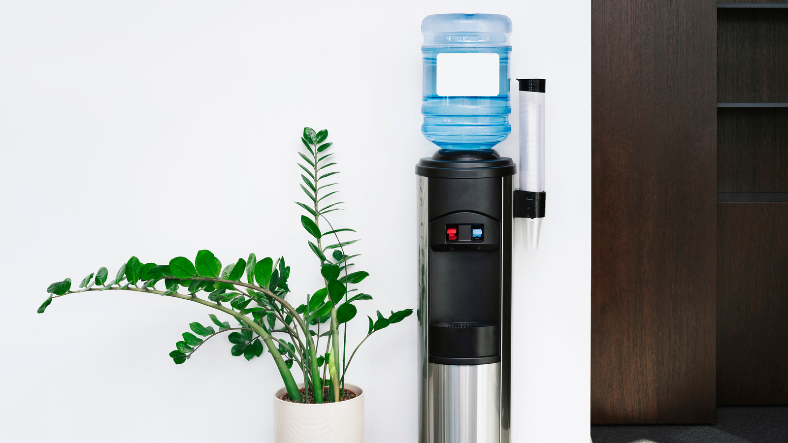 Are Water Dispensers Safe for Drinking Water?